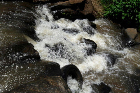 Lushoto: Soni Falls and Usambara Mountains Day Trip