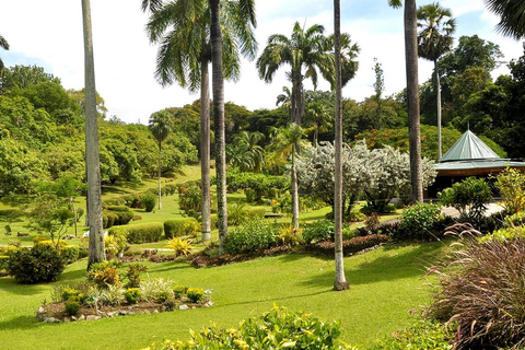 Tobago: Island Circle