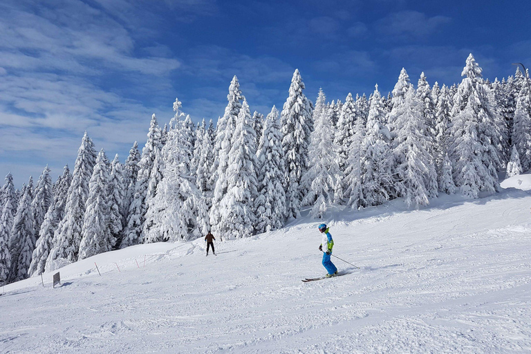 Zakopane: Ski or Snowboard Adventure with Lunch