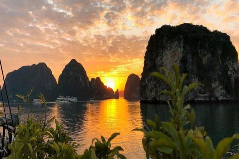From Hanoi: Halong Bay, Titop Island, Sung Sot & Luon Caves
