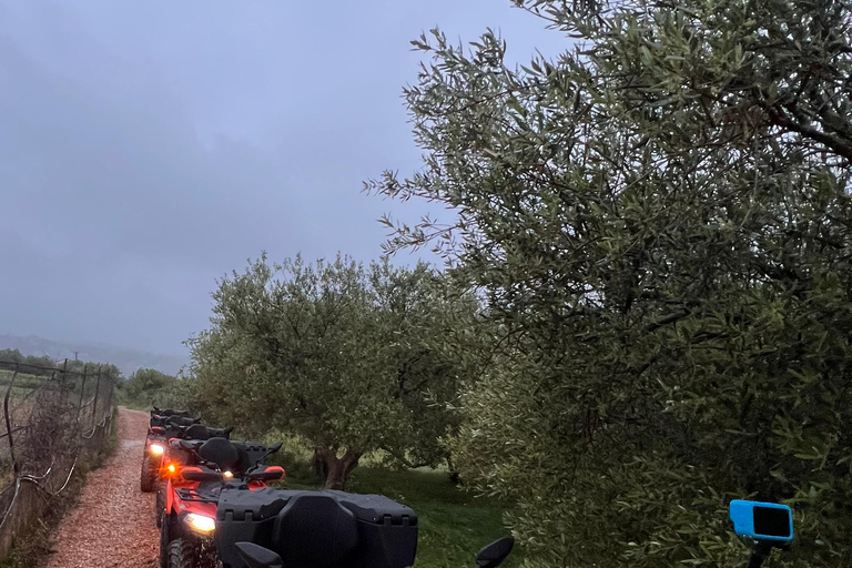 Chania: ATV - Quad Safari Adventure & olive oil tasting