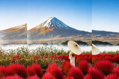 Tokyo: Mt Fuji Full-Day Private Tour of Top Best Places