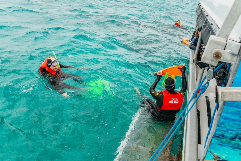 Cairns: Ganztägige Schnorcheltour im GlasbodenbootHalb-U-Boot-Tour mit Mittagessen