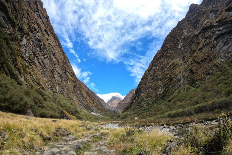 Pokhara: 7-Day Annapurna Base Camp & Jhinu Hot Springs Trek