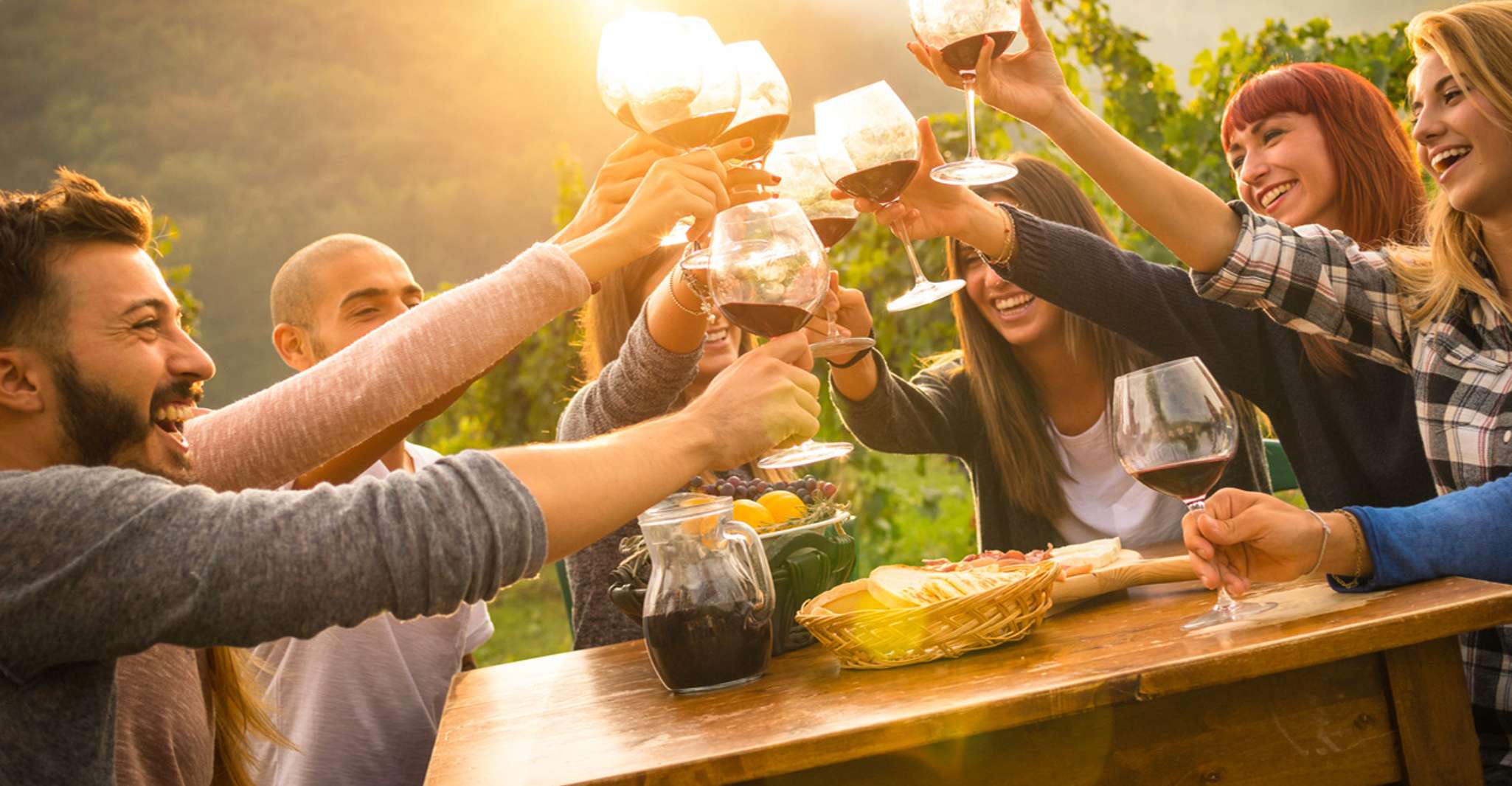 Parma, Winery Tour and tasting - Housity