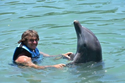 Montego Bay: Swim With The Dolphins Adventure in Lucea Encounter: Excellence, Ocean Coral Spring
