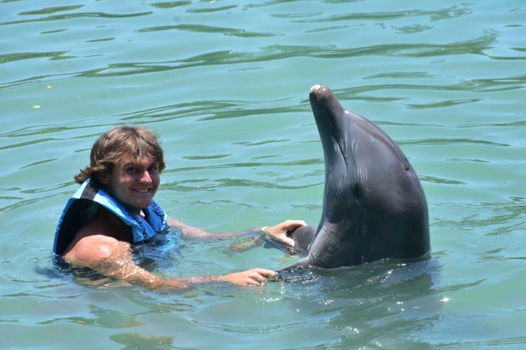 Montego Bay: Swim With The Dolphins Adventure in Lucea Swim: Negril Hotels