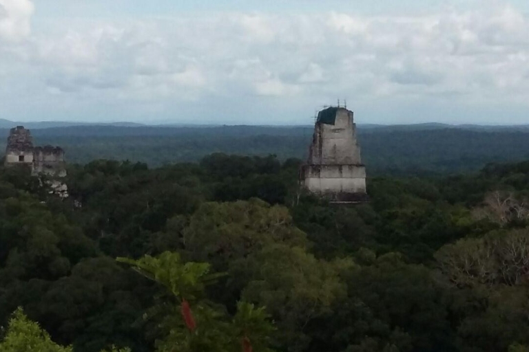 Gemeinsame Tour nach Tikal: Flug + Mittagessen + geführte TourVon der Stadt aus mit Transfers inbegriffen
