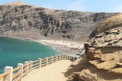 Paracas: Ballestas Islands, National Reserve + 3★ Hotel 2D/1N