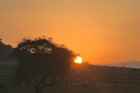 Mombasa: Tsavo East Early-Access Safari & Game Drives