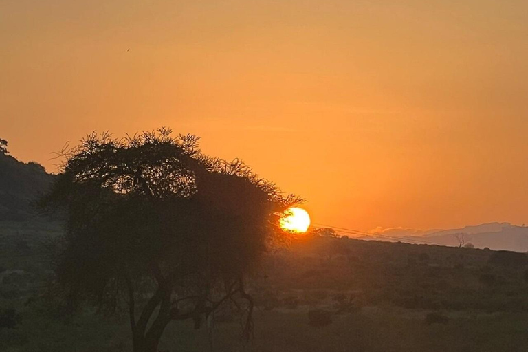 Mombasa: Tsavo East Early-Access Safari & Game Drives