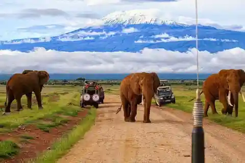 Excursión de un día al Parque Nacional Amboseli y Visita a la Aldea Maasai