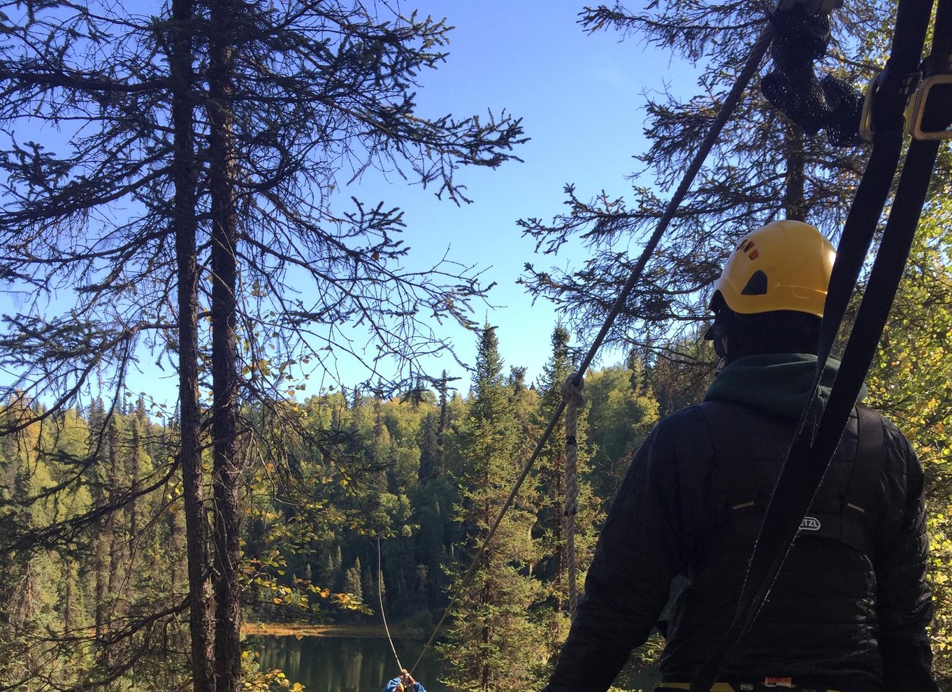 Talkeetna: Denali zipline-ture