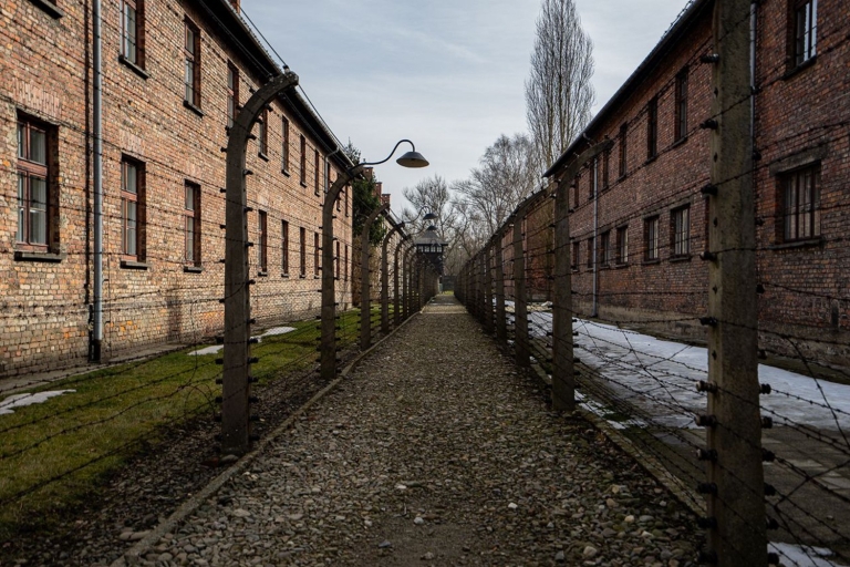 From Krakow: Auschwitz-Birkenau Full-Day Guided Tour Tour with Meeting Point Pickup and Lunch - French