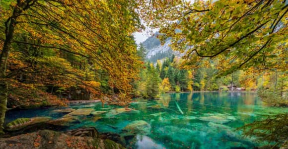 Private Oeschinensee, Blausee & Interlaken Alpine Lakes Tour