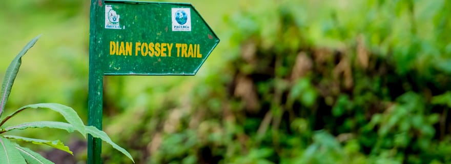 Parc national des Volcans : Randonnée au tombeau de Dian Fossey depuis Kigali