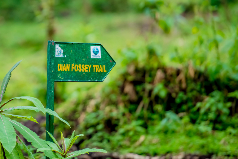 Volcanoes National Park: Dian Fossey Tomb Hike from Kigali