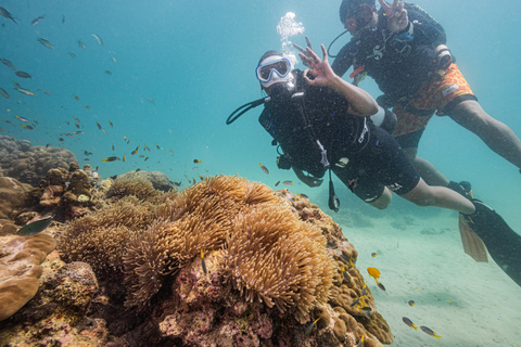 Phuket: Scuba Diving for Beginner (Shore dive in Kata beach) Phuket: Discovery Scuba Diving Experience Shore dive in Kata