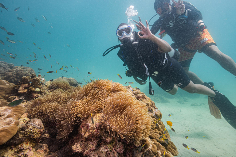 Phuket: Scuba Diving for Beginner (Shore dive in Kata beach) Phuket: Discovery Scuba Diving Experience Shore dive in Kata