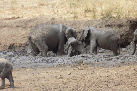 Arusha à : 3 jours au lac Manyara, au Ngorongoro et au Tarangire ...