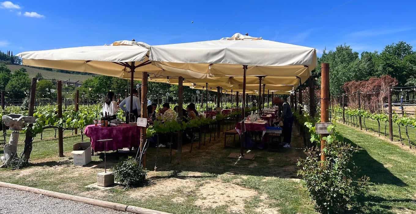 Von Rom aus: Siena und S. Gimignano, Toskana Wein Eintagestour Von Rom aus: Siena und S. Gimignano, Toskana Wein Eintagestour