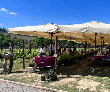 Från Rom: Siena och S. Gimignano, Toscana vin en dagsutflykt
