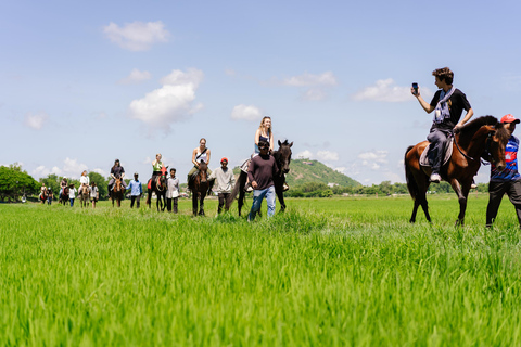 Siem Reap: Private Horseback & Horse-Drawn Carriage Rides (1 hour) Horseback Ride