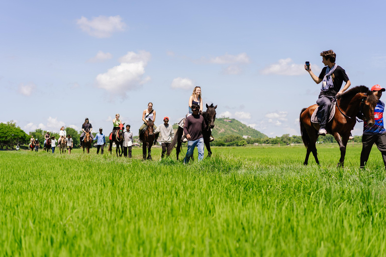 Siem Reap: Private Horseback & Horse-Drawn Carriage Rides (1 hour) Horseback Ride