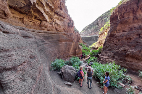 Gran Canaria: Avventura in grotta, oasi, gola rossa e picnic