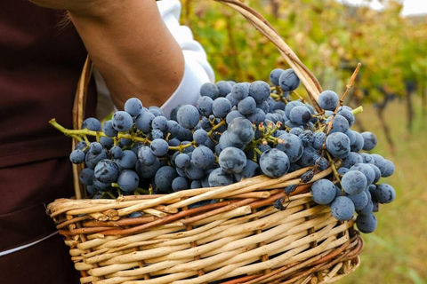 Vlore: Berat Day Trip with Wine Tasting Experience Vlore: Private Berat Day Trip with Wine Tasting Experience