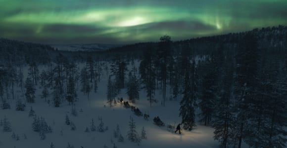 Levi: Northern Lights Reindeer Sleigh Ride & Hot Drinks