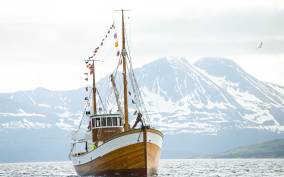Tromsø: Fishing & Fjord Cruise