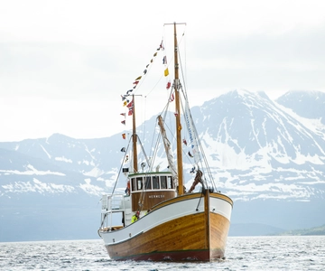 Tromsø: Fjord Fishing Cruise