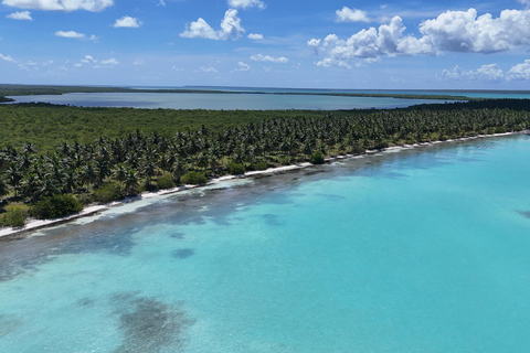 Saona Island: Premium Beach Tour