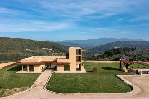 From Florence: Olive Oil Mill Tour with Tasting in Fiesole