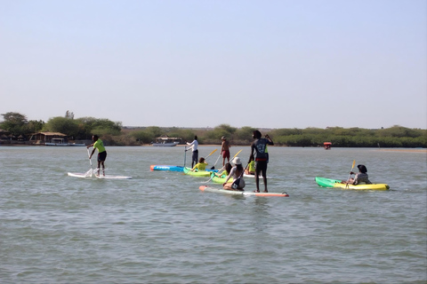 Somone: Guided Group Canoe Tour through the Mangroves Canoe 1 seat