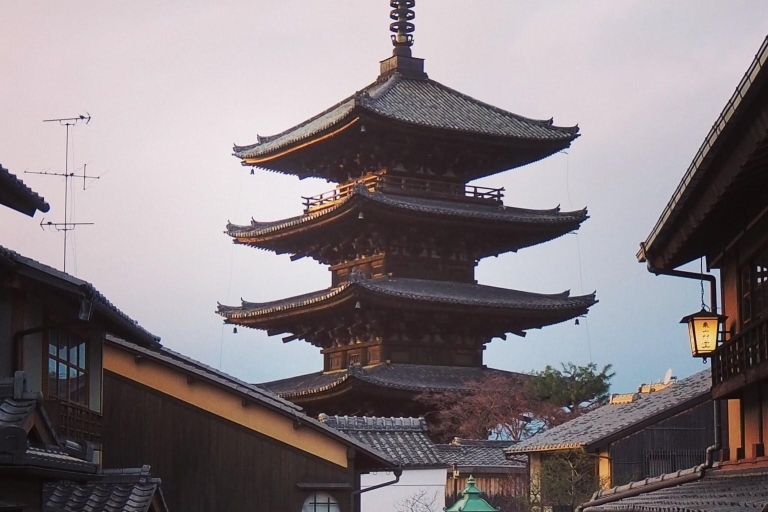 Kyoto Taxi Tour w/Govt Licenced MBA Guide & Photographer