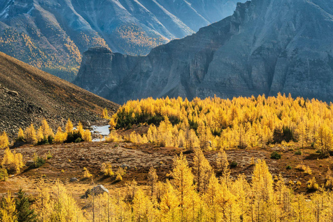 Banff/Canmore: Larch Valley och Moraine Lake
