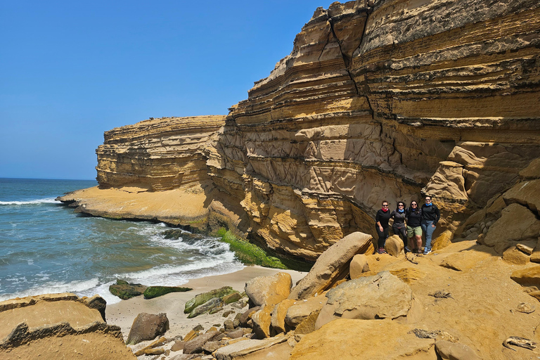 Excursão de 1 dia a Paracas e Huacachina ao pôr do sol - Uma experiência épica!