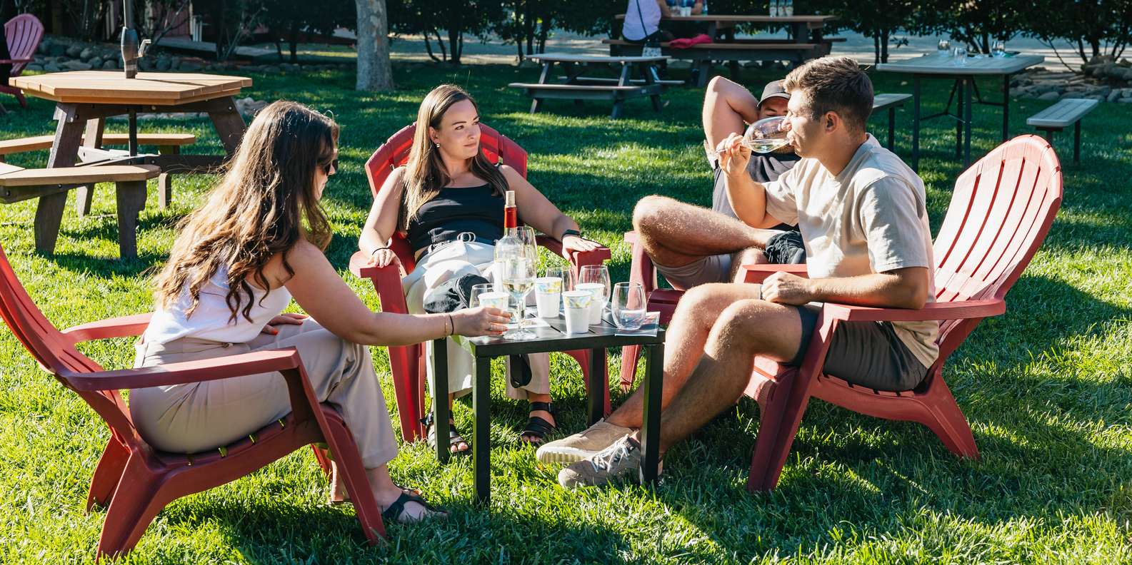 San Francisco: Half-Day Wine Country Excursion with Tastings