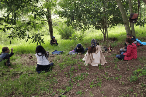 Amazonia Ecuador: Ayahuasca Ceremonie -Korte Retraite