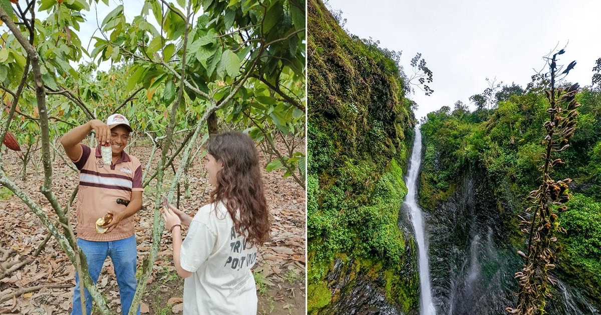 Guayaquil Cloud forest and cocoa farm tour & Lunch GetYourGuide
