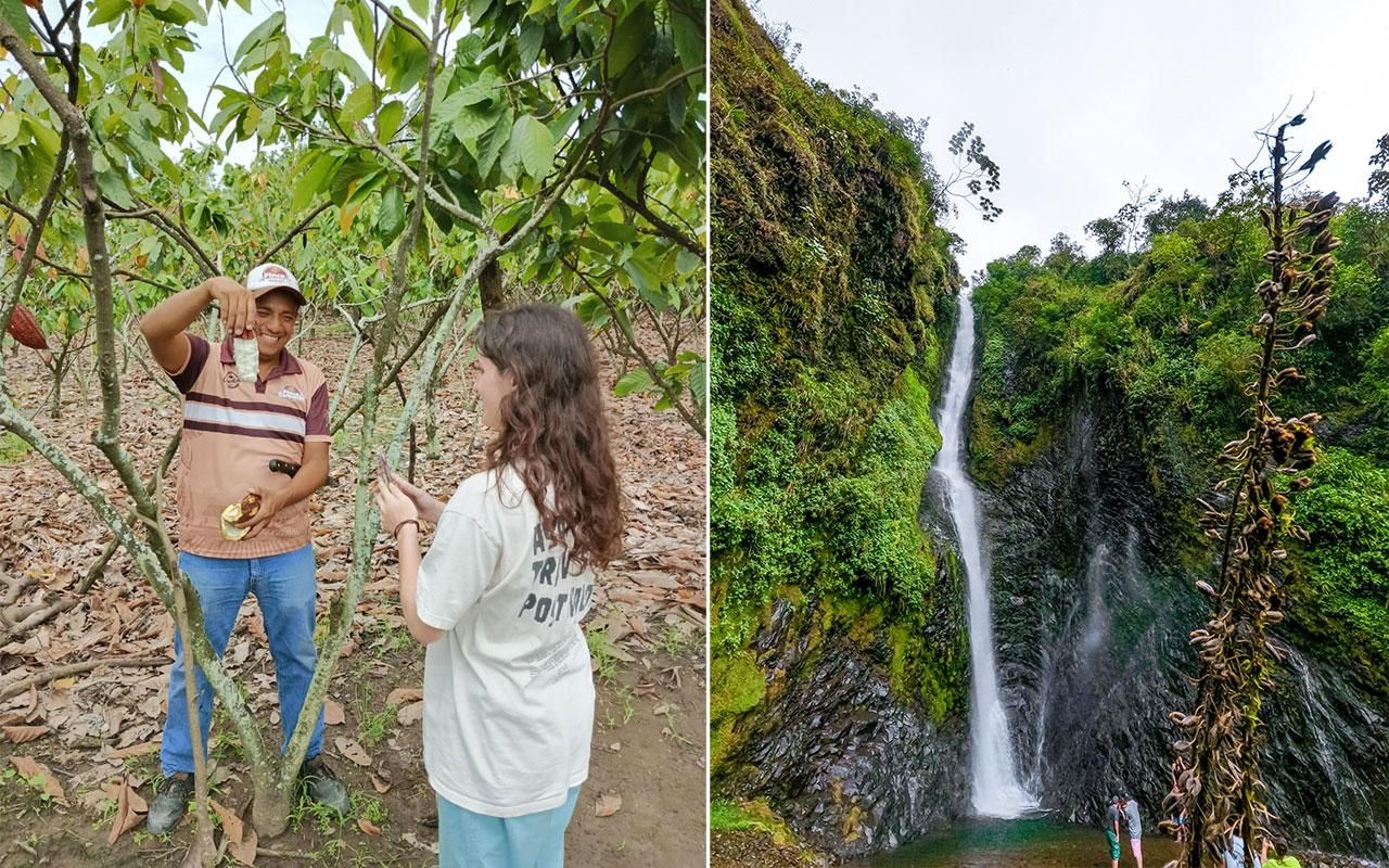 Guayaquil Nebelwald und Kakao-Farm Tour & Mittagessen