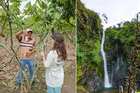 Guayaquil Excursão pela floresta nublada e fazenda de cacau e almoço