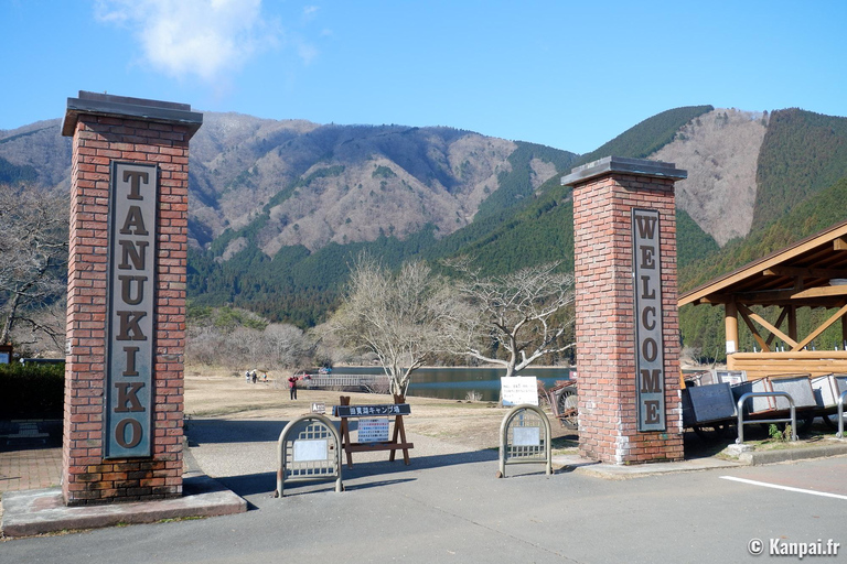 Mt Fuji Lake Tanuki & Makaino Farm Day Tour with Pickup 8:00 Meet at Tokyo Station Marunouchi North