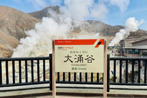 Mt. Fuji & Hakone Tour: Arakurayama, OshinoHakkai, Owakudani Tokyo Station | 7:30 AM Departure with English Guide