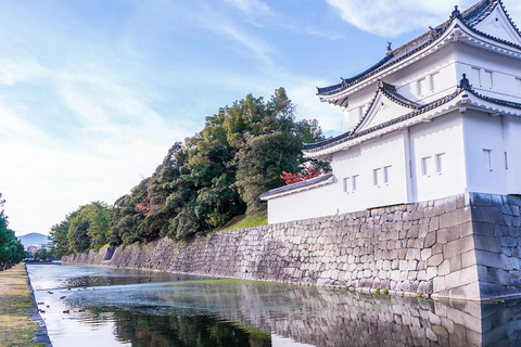 Kyoto: Nijo Castle History Walking Tour – World Heritage
