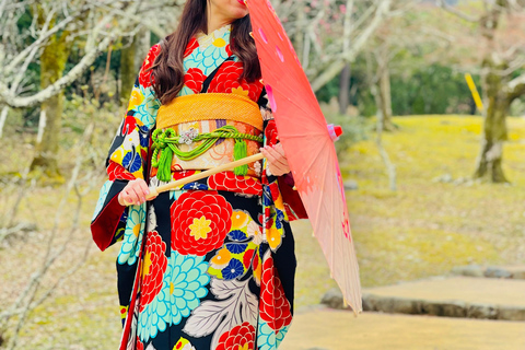 Kyoto Private Tour with English Guide & Pickup (Osaka-Kyoto)