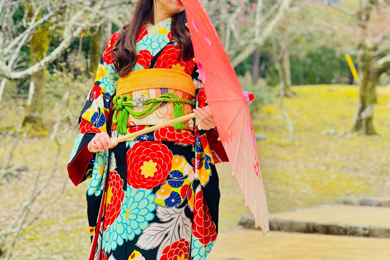 Kyoto Private Tour with English Guide & Pickup (Osaka-Kyoto)