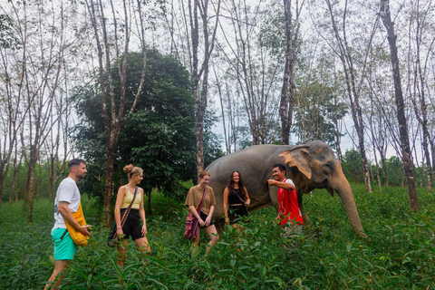Khao Lak : excursion combinée « Éléphants éthiques et tyrolienne »